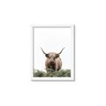 Picture of Cow on the Range _GroupedProduct_Rectangle_Portrait_Photography _GroupedProduct_Rectangle_Portrait_Framed_Matted_