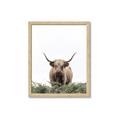 Picture of Cow on the Range _GroupedProduct_Rectangle_Portrait_Photography _GroupedProduct_Rectangle_Portrait_Framed_Matted_