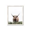 Picture of Cow on the Range _GroupedProduct_Rectangle_Portrait_Photography _GroupedProduct_Rectangle_Portrait_Framed_Matted_
