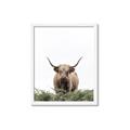 Picture of Cow on the Range _GroupedProduct_Rectangle_Portrait_Photography _GroupedProduct_Rectangle_Portrait_Framed_Matted_