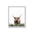 Picture of Cow on the Range _GroupedProduct_Rectangle_Portrait_Photography _GroupedProduct_Rectangle_Portrait_Framed_Matted_
