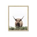 Picture of Cow on the Range _GroupedProduct_Rectangle_Portrait_Photography _GroupedProduct_Rectangle_Portrait_Framed_Matted_