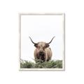 Picture of Cow on the Range _GroupedProduct_Rectangle_Portrait_Photography _GroupedProduct_Rectangle_Portrait_Framed_Matted_