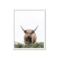 Picture of Cow on the Range _GroupedProduct_Rectangle_Portrait_Photography _GroupedProduct_Rectangle_Portrait_Framed_Matted_