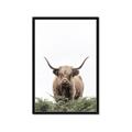 Picture of Cow on the Range _GroupedProduct_Rectangle_Portrait_Photography _GroupedProduct_Rectangle_Portrait_Framed_Matted_