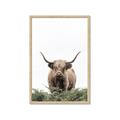 Picture of Cow on the Range _GroupedProduct_Rectangle_Portrait_Photography _GroupedProduct_Rectangle_Portrait_Framed_Matted_