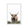 Picture of Cow on the Range _GroupedProduct_Rectangle_Portrait_Photography _GroupedProduct_Rectangle_Portrait_Framed_Matted_