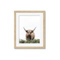 Picture of Cow on the Range _GroupedProduct_Rectangle_Portrait_Photography _GroupedProduct_Rectangle_Portrait_Framed_Matted_