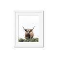Picture of Cow on the Range _GroupedProduct_Rectangle_Portrait_Photography _GroupedProduct_Rectangle_Portrait_Framed_Matted_
