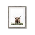 Picture of Cow on the Range _GroupedProduct_Rectangle_Portrait_Photography _GroupedProduct_Rectangle_Portrait_Framed_Matted_