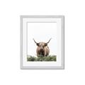Picture of Cow on the Range _GroupedProduct_Rectangle_Portrait_Photography _GroupedProduct_Rectangle_Portrait_Framed_Matted_