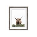 Picture of Cow on the Range _GroupedProduct_Rectangle_Portrait_Photography _GroupedProduct_Rectangle_Portrait_Framed_Matted_