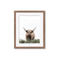 Picture of Cow on the Range _GroupedProduct_Rectangle_Portrait_Photography _GroupedProduct_Rectangle_Portrait_Framed_Matted_