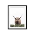 Picture of Cow on the Range _GroupedProduct_Rectangle_Portrait_Photography _GroupedProduct_Rectangle_Portrait_Framed_Matted_
