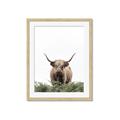 Picture of Cow on the Range _GroupedProduct_Rectangle_Portrait_Photography _GroupedProduct_Rectangle_Portrait_Framed_Matted_