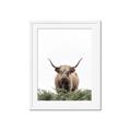 Picture of Cow on the Range _GroupedProduct_Rectangle_Portrait_Photography _GroupedProduct_Rectangle_Portrait_Framed_Matted_