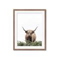 Picture of Cow on the Range _GroupedProduct_Rectangle_Portrait_Photography _GroupedProduct_Rectangle_Portrait_Framed_Matted_