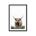 Picture of Cow on the Range _GroupedProduct_Rectangle_Portrait_Photography _GroupedProduct_Rectangle_Portrait_Framed_Matted_