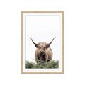 Picture of Cow on the Range _GroupedProduct_Rectangle_Portrait_Photography _GroupedProduct_Rectangle_Portrait_Framed_Matted_