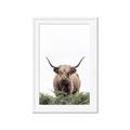 Picture of Cow on the Range _GroupedProduct_Rectangle_Portrait_Photography _GroupedProduct_Rectangle_Portrait_Framed_Matted_