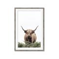 Picture of Cow on the Range _GroupedProduct_Rectangle_Portrait_Photography _GroupedProduct_Rectangle_Portrait_Framed_Matted_