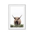 Picture of Cow on the Range _GroupedProduct_Rectangle_Portrait_Photography _GroupedProduct_Rectangle_Portrait_Framed_Matted_