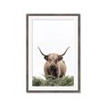 Picture of Cow on the Range _GroupedProduct_Rectangle_Portrait_Photography _GroupedProduct_Rectangle_Portrait_Framed_Matted_