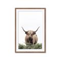 Picture of Cow on the Range _GroupedProduct_Rectangle_Portrait_Photography _GroupedProduct_Rectangle_Portrait_Framed_Matted_