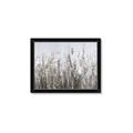 Picture of Autumn Wild Flowers _GroupedProduct_Rectangle_Landscape_Framed_Matted_