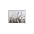 Picture of Autumn Wild Flowers _GroupedProduct_Rectangle_Landscape_Framed_Matted_