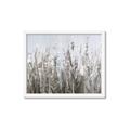 Picture of Autumn Wild Flowers _GroupedProduct_Rectangle_Landscape_Framed_Matted_