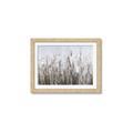 Picture of Autumn Wild Flowers _GroupedProduct_Rectangle_Landscape_Framed_Matted_