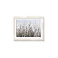 Picture of Autumn Wild Flowers _GroupedProduct_Rectangle_Landscape_Framed_Matted_