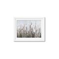 Picture of Autumn Wild Flowers _GroupedProduct_Rectangle_Landscape_Framed_Matted_