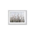 Picture of Autumn Wild Flowers _GroupedProduct_Rectangle_Landscape_Framed_Matted_