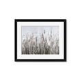 Picture of Autumn Wild Flowers _GroupedProduct_Rectangle_Landscape_Framed_Matted_