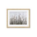 Picture of Autumn Wild Flowers _GroupedProduct_Rectangle_Landscape_Framed_Matted_