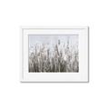 Picture of Autumn Wild Flowers _GroupedProduct_Rectangle_Landscape_Framed_Matted_