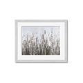 Picture of Autumn Wild Flowers _GroupedProduct_Rectangle_Landscape_Framed_Matted_