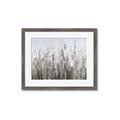 Picture of Autumn Wild Flowers _GroupedProduct_Rectangle_Landscape_Framed_Matted_
