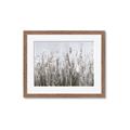 Picture of Autumn Wild Flowers _GroupedProduct_Rectangle_Landscape_Framed_Matted_