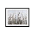 Picture of Autumn Wild Flowers _GroupedProduct_Rectangle_Landscape_Framed_Matted_