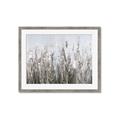 Picture of Autumn Wild Flowers _GroupedProduct_Rectangle_Landscape_Framed_Matted_