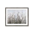 Picture of Autumn Wild Flowers _GroupedProduct_Rectangle_Landscape_Framed_Matted_