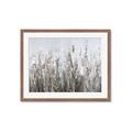 Picture of Autumn Wild Flowers _GroupedProduct_Rectangle_Landscape_Framed_Matted_