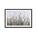 Picture of Autumn Wild Flowers _GroupedProduct_Rectangle_Landscape_Framed_Matted_