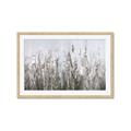 Picture of Autumn Wild Flowers _GroupedProduct_Rectangle_Landscape_Framed_Matted_