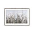 Picture of Autumn Wild Flowers _GroupedProduct_Rectangle_Landscape_Framed_Matted_