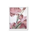 Picture of Dancing Tulip _GroupedProduct_Rectangle_Portrait_Framed_Matted_