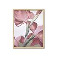 Picture of Dancing Tulip _GroupedProduct_Rectangle_Portrait_Framed_Matted_